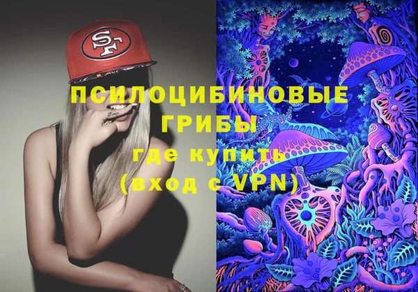 ECSTASY Няндома
