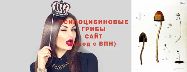 apvp Алексин