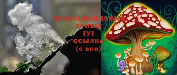 apvp Алексин