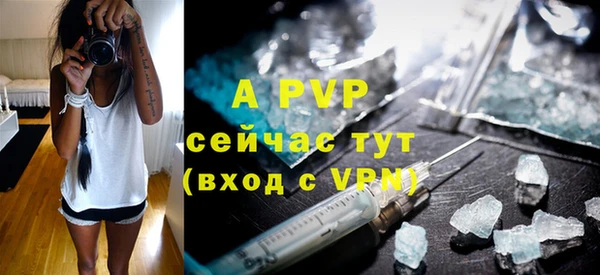 apvp Алексин